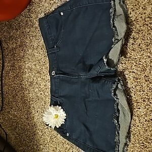 REVOLVE James Jeans Stretch Shorty 30